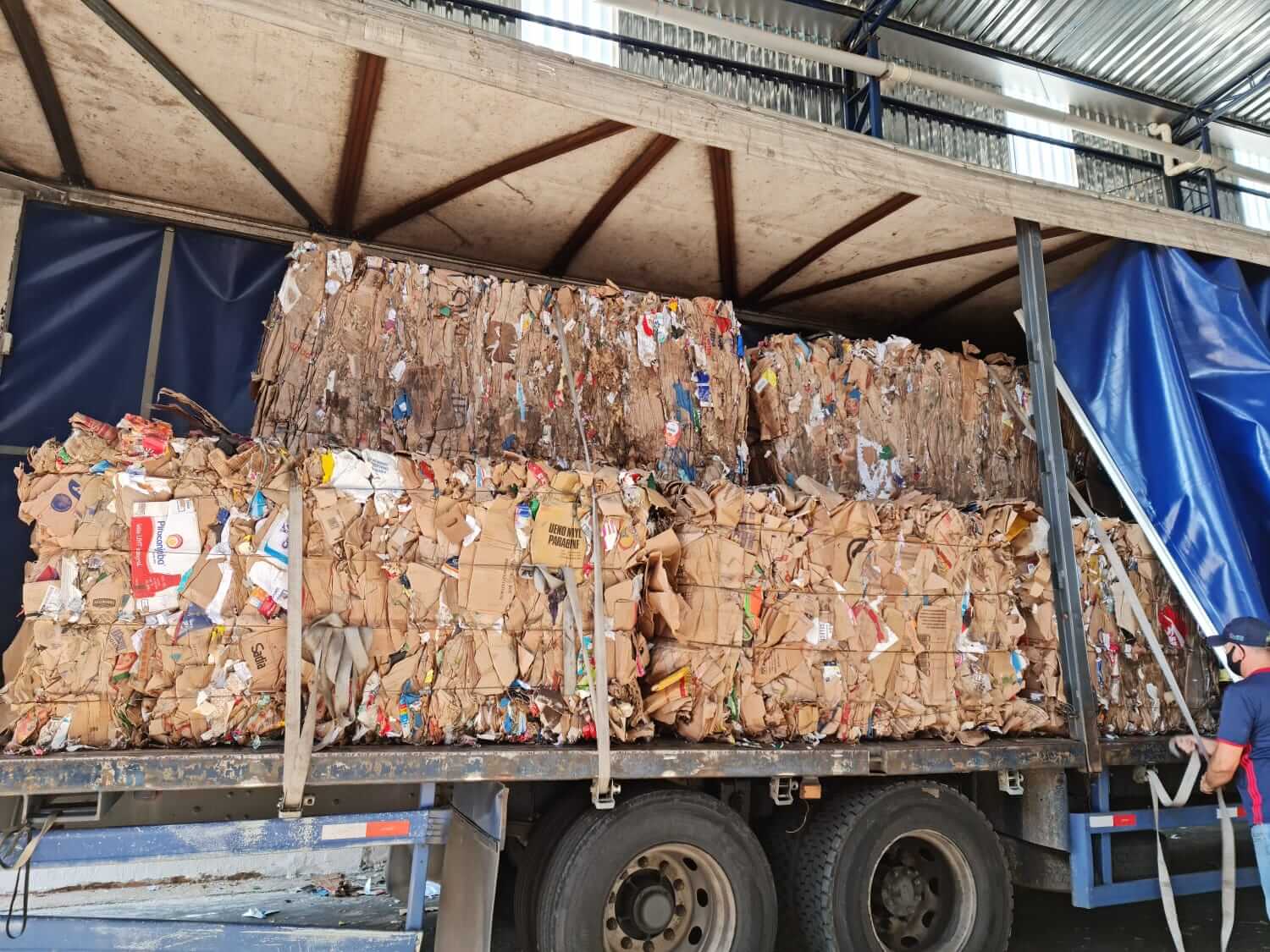Serviço de coleta