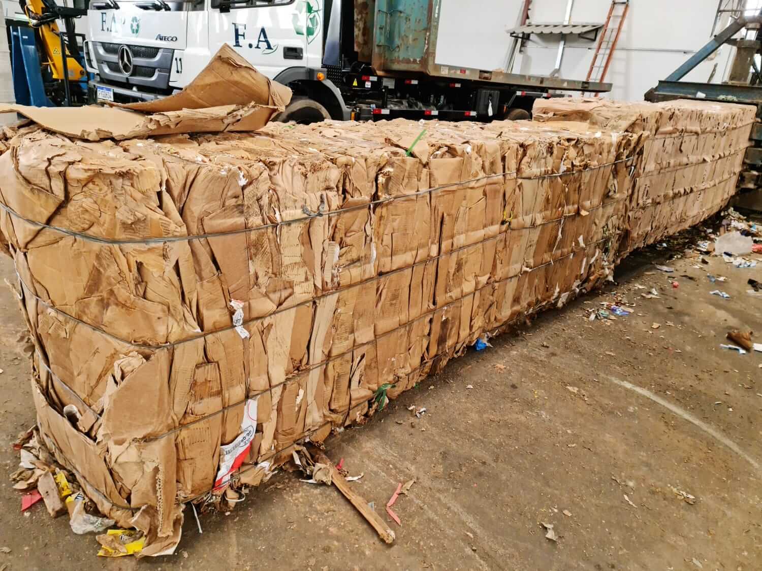 Aparas de papelão em São Paulo